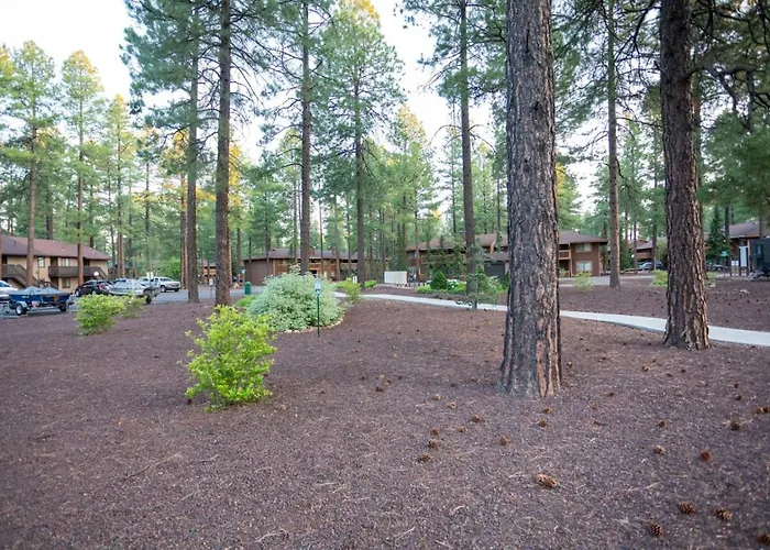 Sports Village, 3 Bedroom 2 Ba, Fireplace, Sleeps 6
